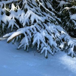 Meet your Posher, Felicia